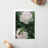 Twee witte pioenen notitiekaartje (Voorkant / Achterkant in situ)