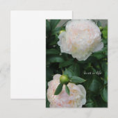 Twee witte pioenen notitiekaartje (Voorkant / Achterkant)