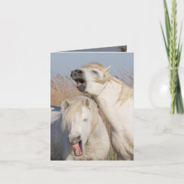 Twee witte sterren Yawn Horse Wenskaart Kaart
