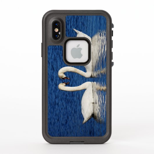 Twee witte Swans vormen het Geheime Teken (Achterkant)