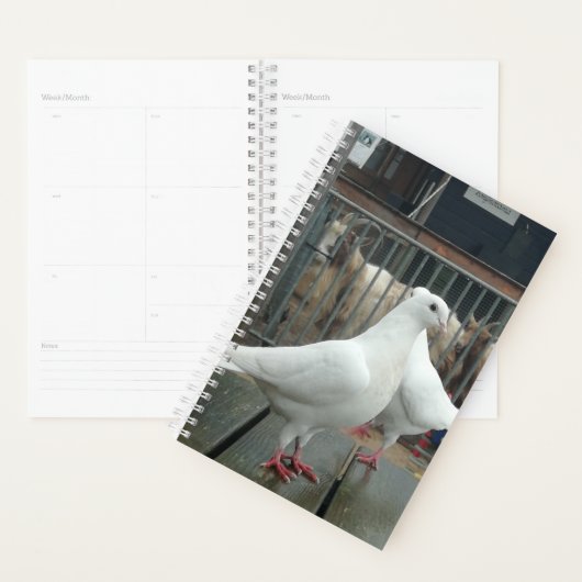 Twee witte vredesduiven. planner (Display)