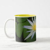 Twee witte waterliMok Tweekleurige Koffiemok (Links)