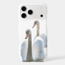 Twee Witte Zwanen Natuurfotografie