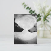 Twee wolven tegenover elkaar briefkaart (Staand voorkant)