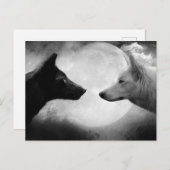 Twee wolven tegenover elkaar briefkaart (Voorkant / Achterkant)