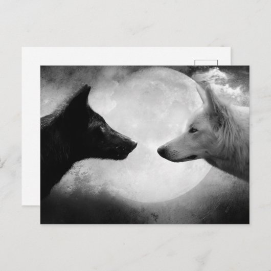 Twee wolven tegenover elkaar briefkaart (Voorkant / Achterkant)