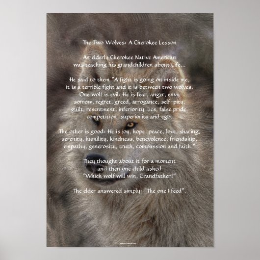 TWEE WOLVES CHEROKEE TALE Art Poster (Voorkant)