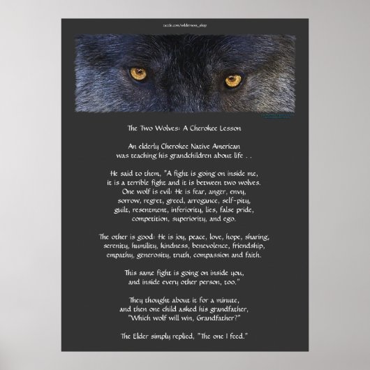 TWEE WOLVES CHEROKEE TALE Art Poster (Voorkant)