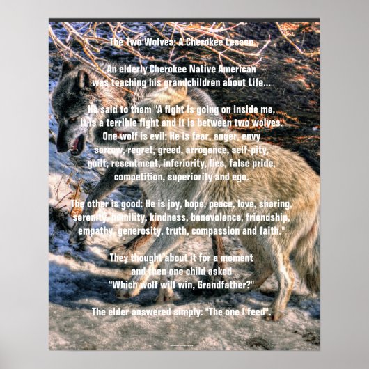 TWEE WOLVES CHEROKEE TALE Art Poster (Voorkant)