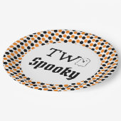 Twee woordvoerders van de tweede verjaardag papieren bordje (Gekanteld)