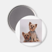 Twee Yorkies Magneet (Voorkant / Achterkant)