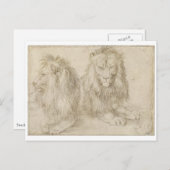 Twee zaadleeuwen door Albrecht Durer Briefkaart (Voorkant / Achterkant)