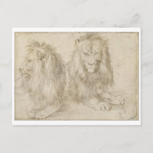 Twee zaadleeuwen door Albrecht Durer Briefkaart