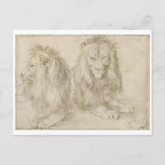 Twee zaadleeuwen door Albrecht Durer Briefkaart (Voorkant)
