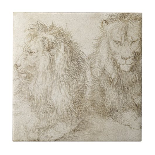 Twee zaadleeuwen door Albrecht Durer Tegeltje (Voorkant)