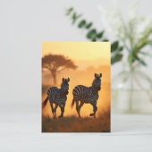 Twee zebra's briefkaart (Staand voorkant)