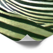 Twee zebra's in groene weide poster (Hoek)