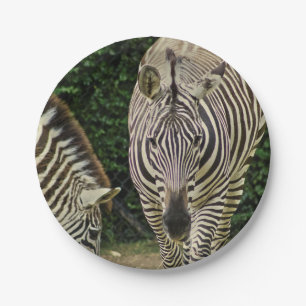 Twee Zebras Papieren Bordje