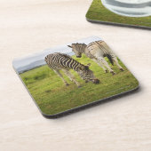 Twee zebras, Zuid-Afrika Drankjes Onderzetter (Linkerzijde)