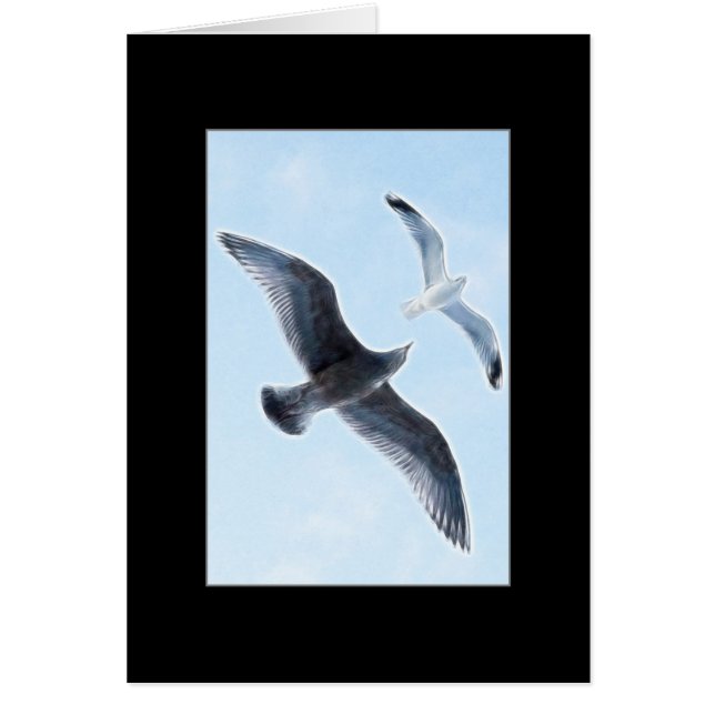 Twee zeegarren (Voorkant)