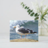 Twee zeegarren briefkaart (Staand voorkant)