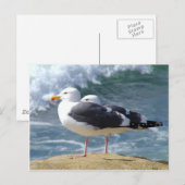 Twee zeegarren briefkaart (Voorkant / Achterkant)