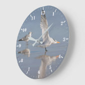 Twee zeegarren met hun reflectie grote klok (Hoek)