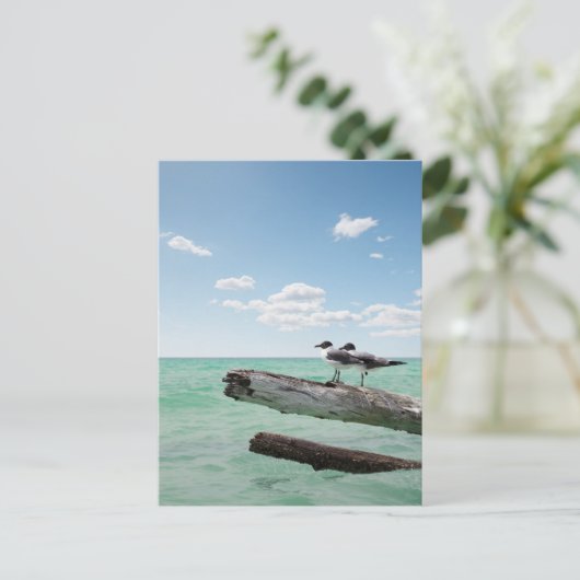 Twee zeemijlen op een dode boom die eruit kleeft briefkaart (Staand voorkant)