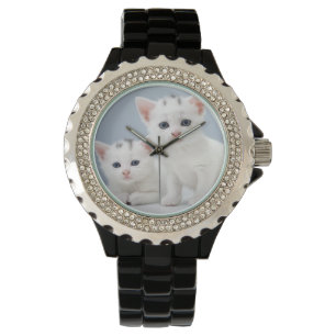 Twee zeer jonge witte kittens zijn nieuwsgierig horloge