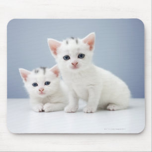 Twee zeer jonge witte kittens zijn nieuwsgierig muismat