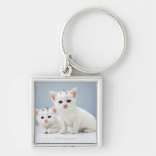 Twee zeer jonge witte kittens zijn nieuwsgierig sleutelhanger