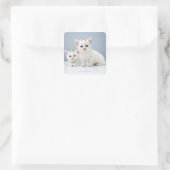Twee zeer jonge witte kittens zijn nieuwsgierig vierkante sticker (Tas)