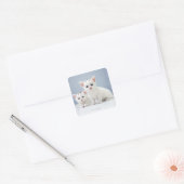 Twee zeer jonge witte kittens zijn nieuwsgierig vierkante sticker (Envelop)