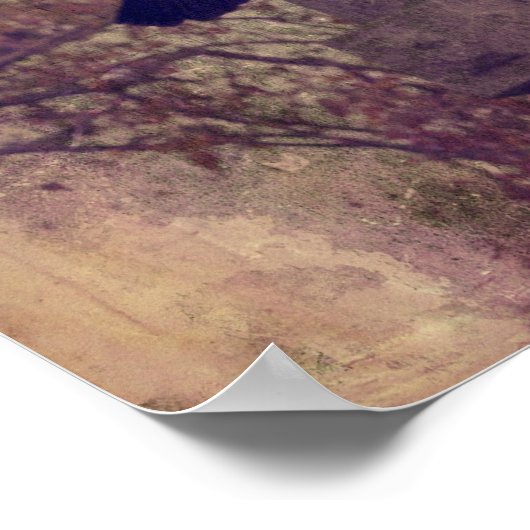 Twee zeer koude ravens poster (Hoek)