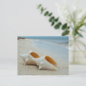 Twee zeeschelpen op Sandy Beach Briefkaart (Staand voorkant)
