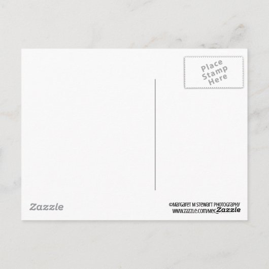 Twee zeesterren Dank u Briefkaart (Achterkant)