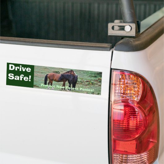 Twee Zelden, Wild New Forest Pony Friends in Engel Bumpersticker (Op Truck)