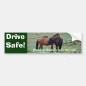 Twee Zelden, Wild New Forest Pony Friends in Engel Bumpersticker (Voorkant)