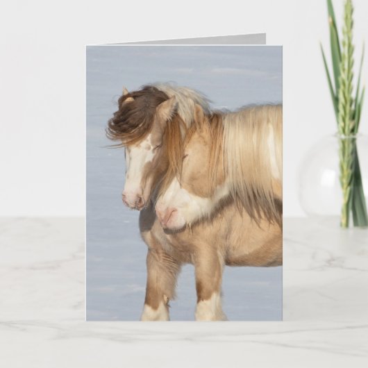 Twee zigeunerhengsten - Wenskaart Kaart (Voorkant)