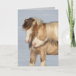 Twee zigeunerhengsten - Wenskaart Kaart