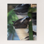 Twee zigeunerpaarden die over hek kijken legpuzzel (Verticaal)