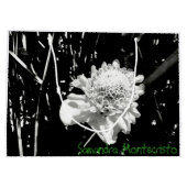 TWEE ZIJDEN ART DUO Scroll Collectie Gift Bag #3 Groot Cadeauzakje (Achterkant)