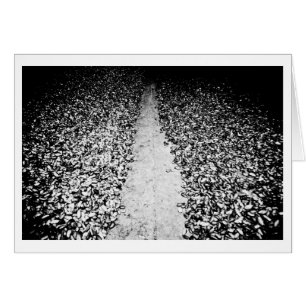 twee zijden van cacao