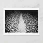 twee zijden van cacao briefkaart (Voorkant)