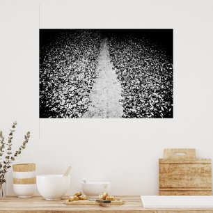 twee zijden van cacao poster