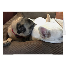 Twee zijn beter dan één.