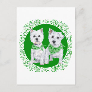 Twee zittende Westies op St. Patrick's Day Briefkaart