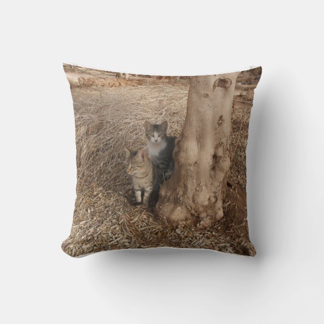 TWEE ZOETE KATTEN IN EEN VELD ORIGINELE AFBEELDING KUSSEN (Voorkant)