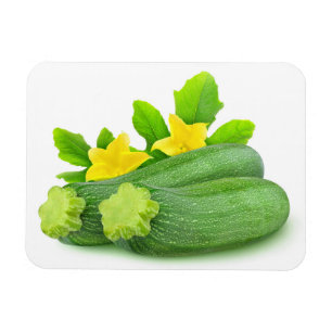 Twee zucchini magneet