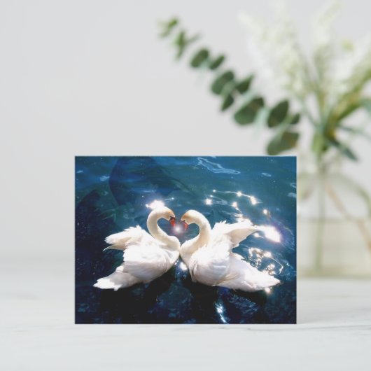 Twee zwanen briefkaart (Staand voorkant)